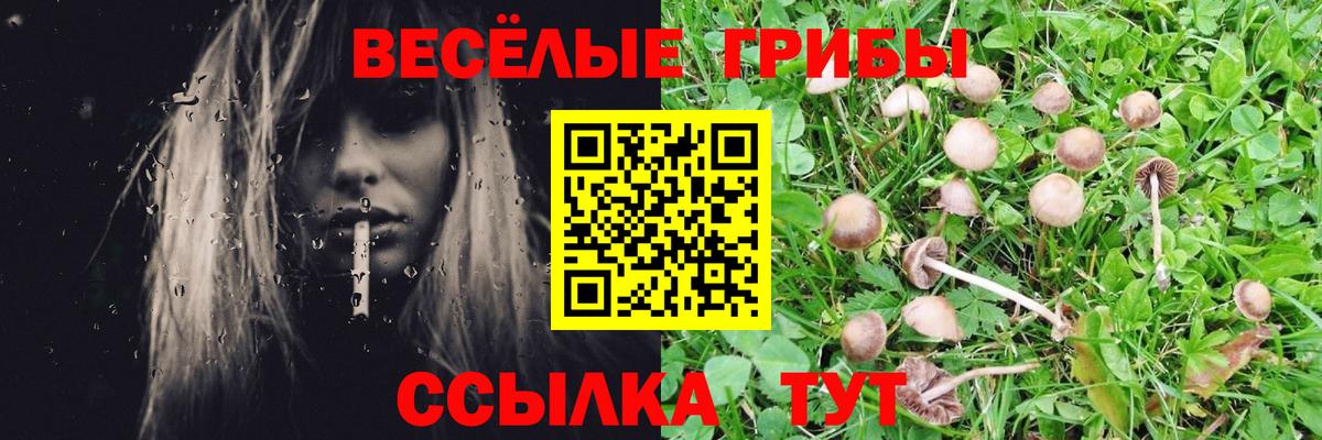 Галлюциногенные грибы прущие грибы  Вход с VPN  Кизляр 